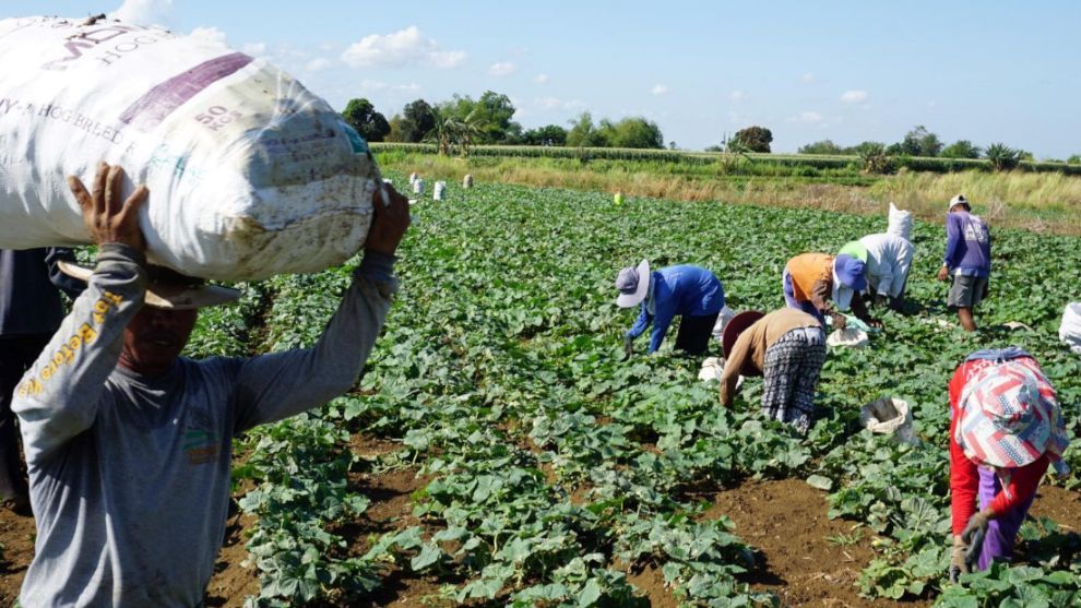 Winning with Purpose - unilever distributing soap packages