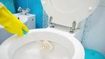 Disinfecting a toilet