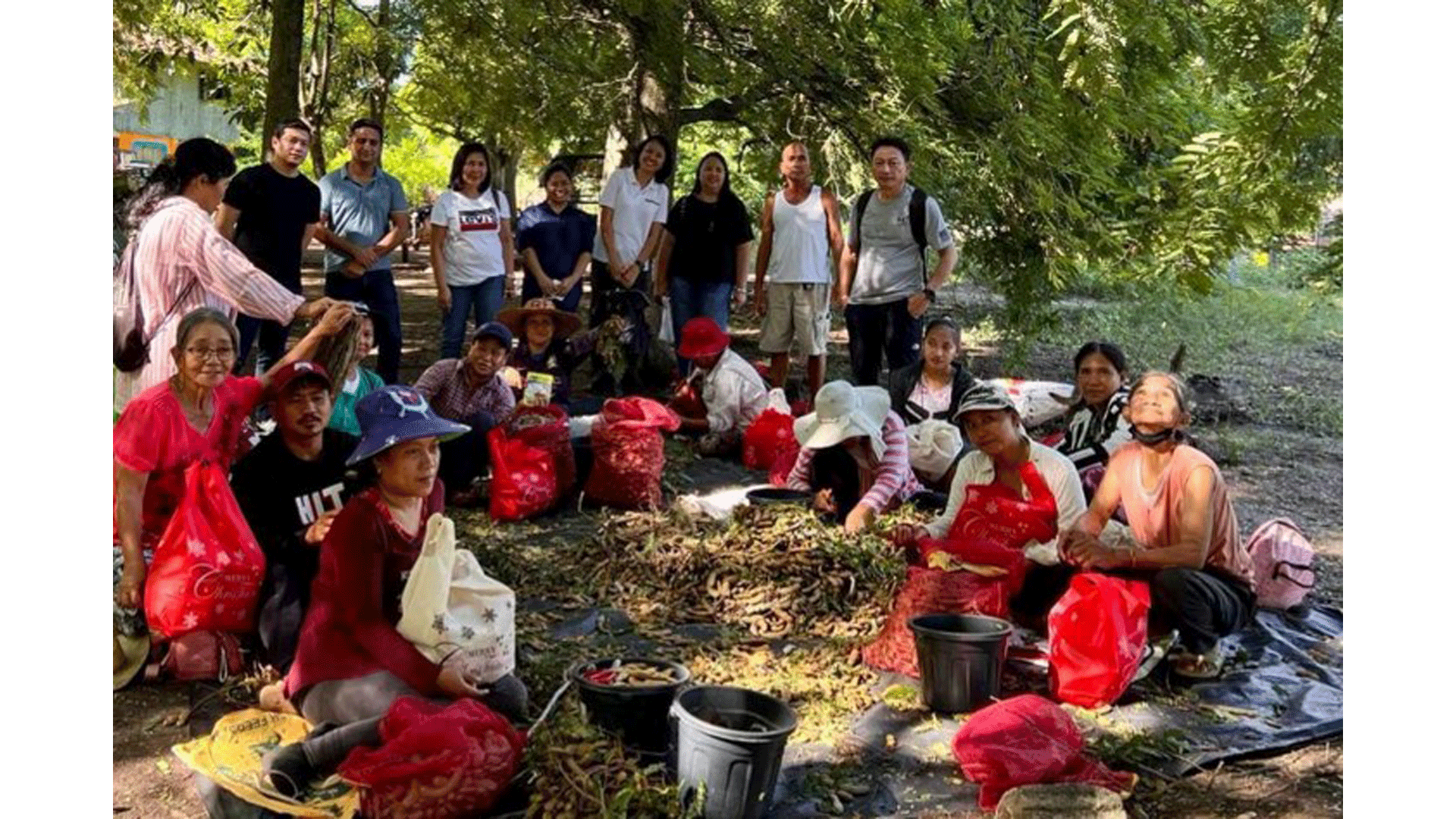 A group of sampalok farmers pose under a sampalok tree, together with their sampalok harvest