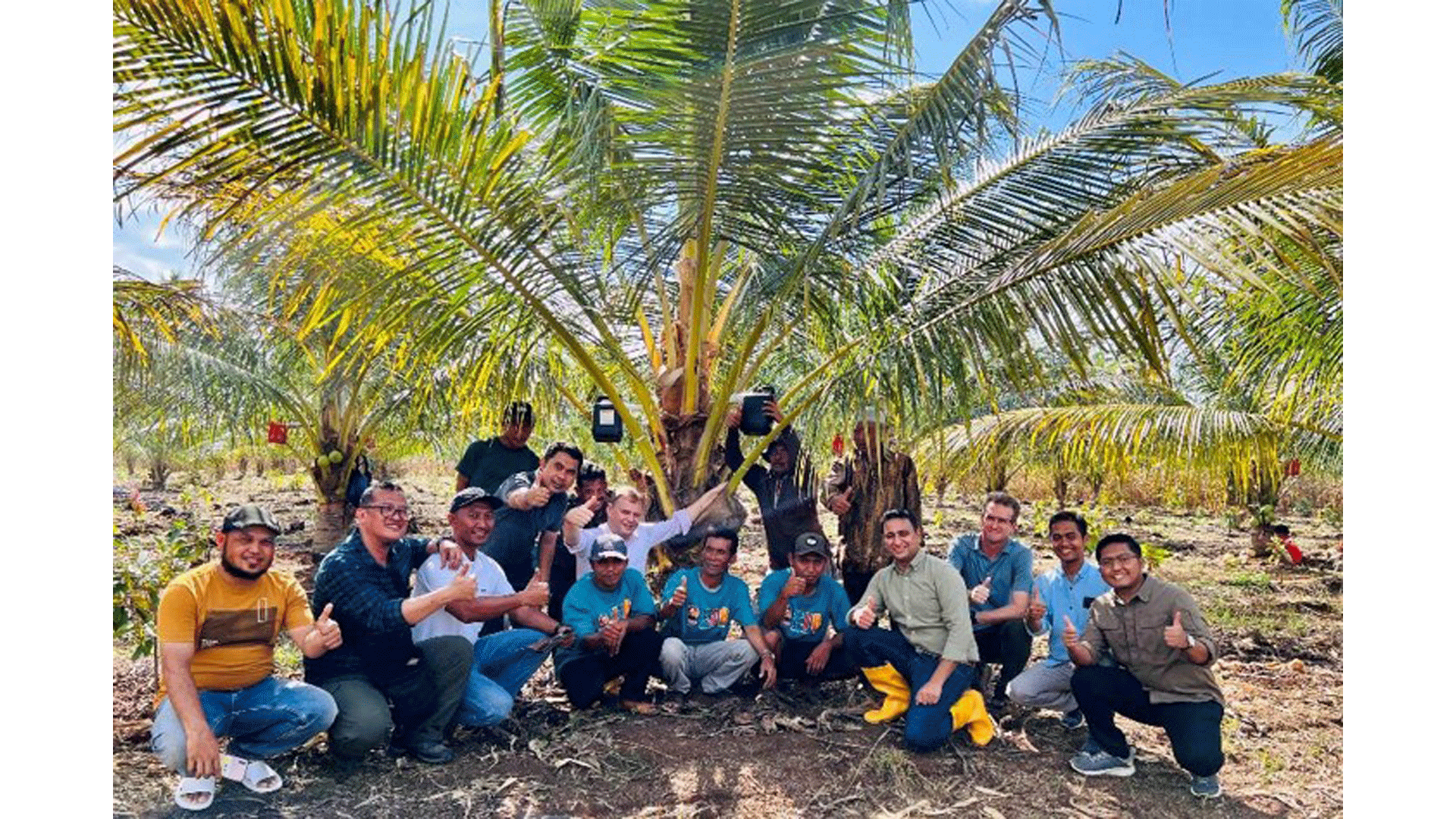 A group of farmers seated on the ground, doing the thumbs up pose. Behind them is a dwarf coconut tree