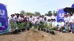 A group of Unilever Philippines employees pose outdoors together with trees to be planted on factory grounds