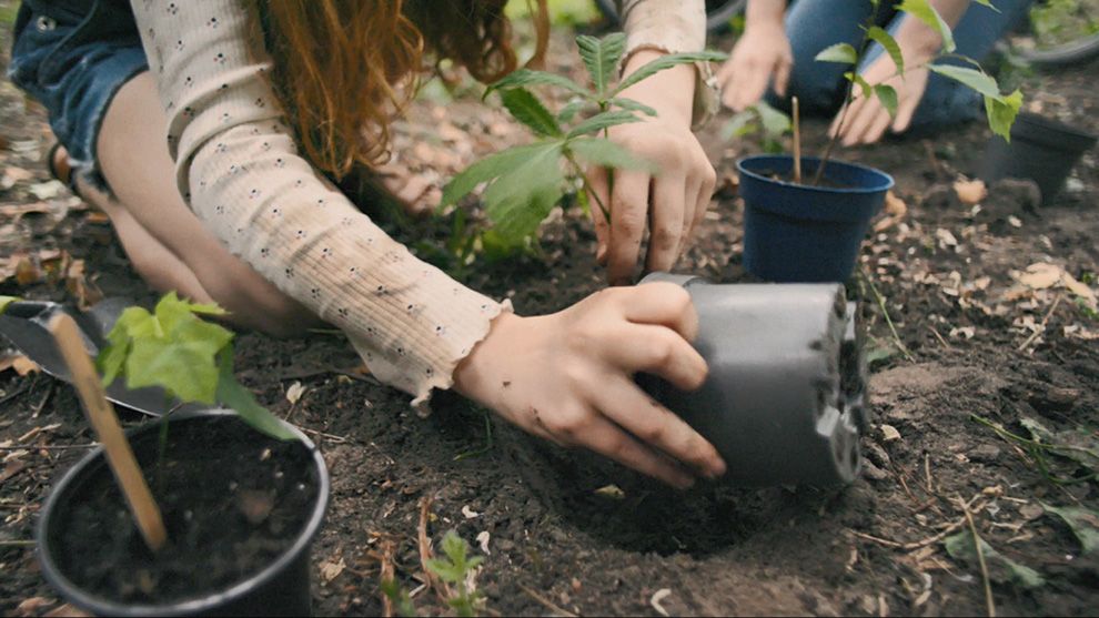 Children planting seedlings. 