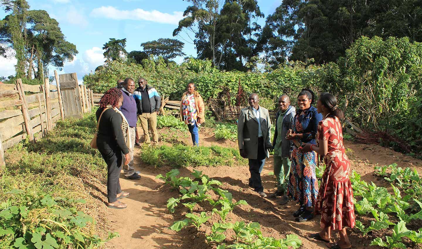 Feature image - Abdallah Hamadi