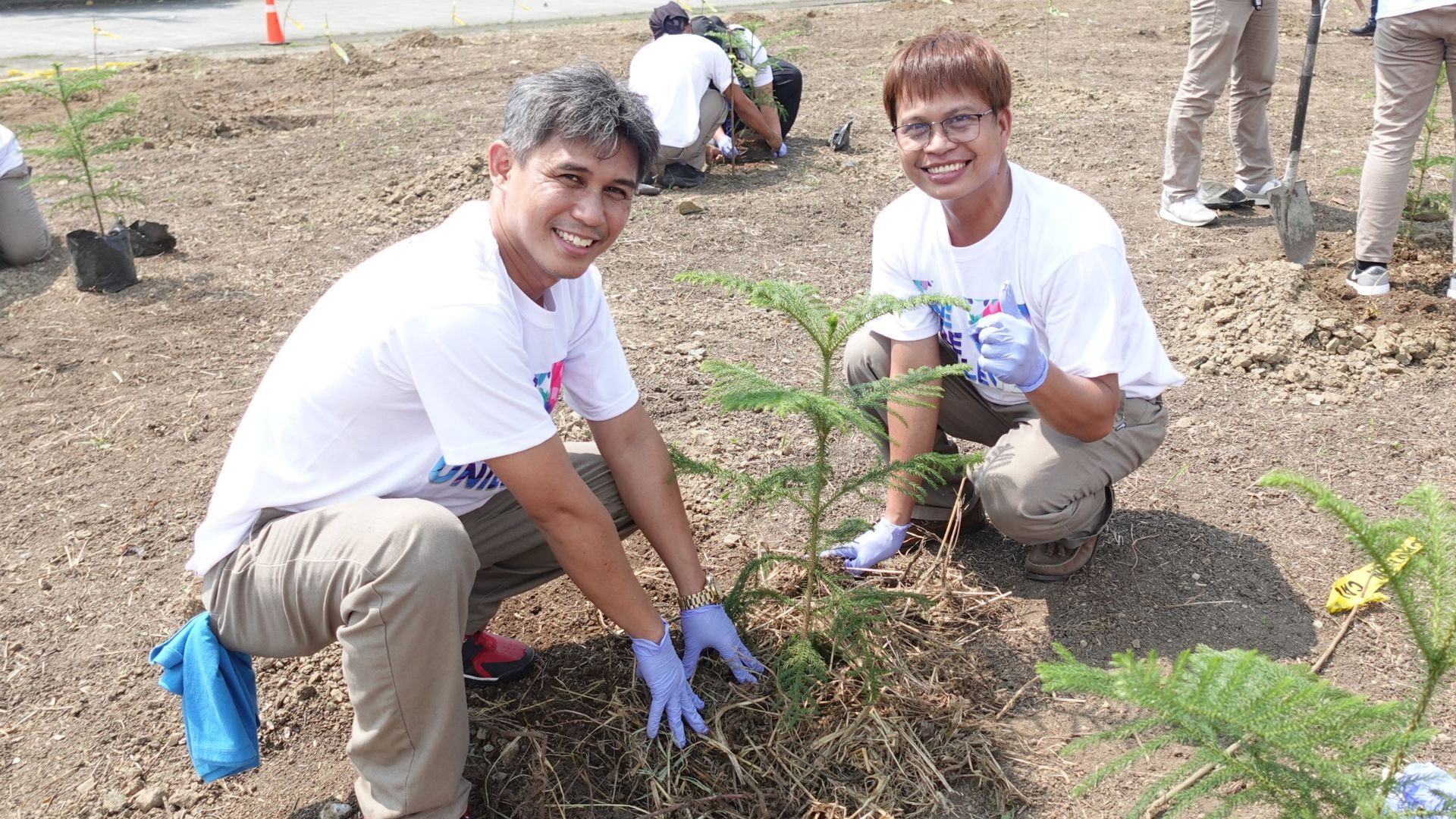 Two employees planting a tree